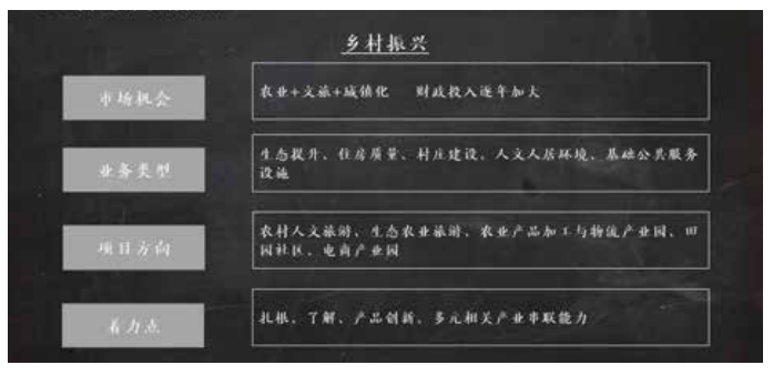 乡村振兴模式图.png