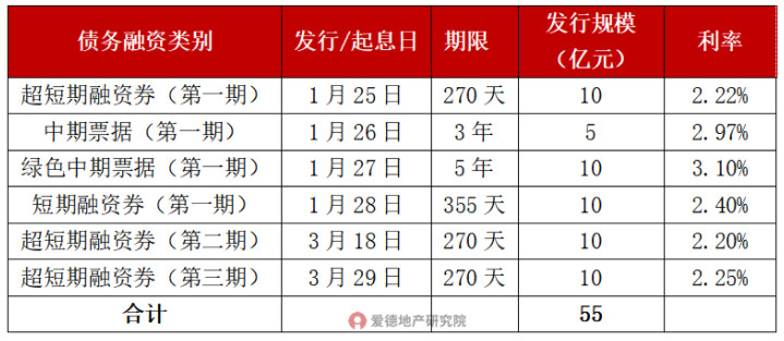 人才安居集团债务融资情况.jpg