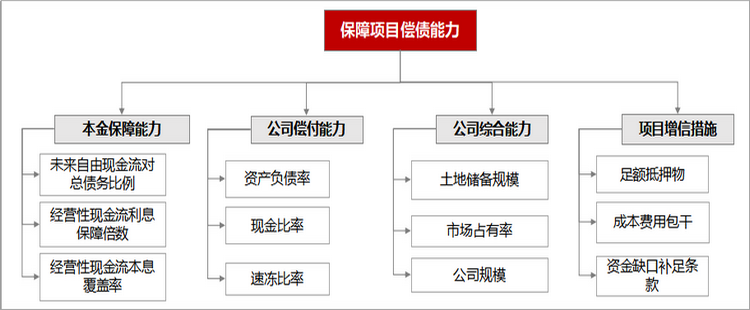 保障项目偿债的四项能力.png